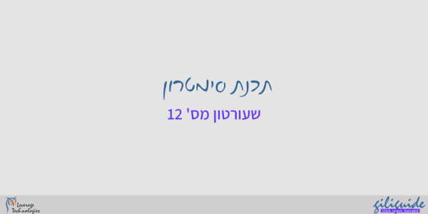 הסבר על סוליד